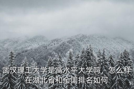 武漢理工大學怎么樣提高代謝,武漢理工大學理學院怎么樣