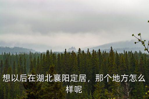 想以后在湖北襄陽定居，那個地方怎么樣呢