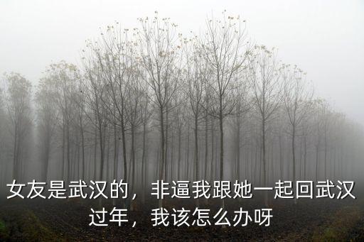 女友是武漢的，非逼我跟她一起回武漢過年，我該怎么辦呀