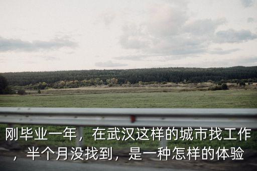 剛畢業(yè)一年，在武漢這樣的城市找工作，半個月沒找到，是一種怎樣的體驗(yàn)
