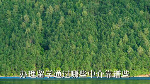 辦理留學通過哪些中介靠譜些