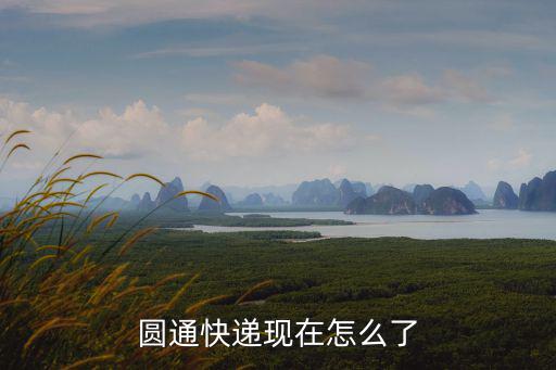 圓通快遞現在怎么了