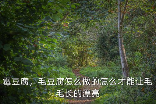 霉豆腐，毛豆腐怎么做的怎么才能讓毛毛長的漂亮