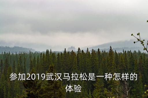 參加2019武漢馬拉松是一種怎樣的體驗