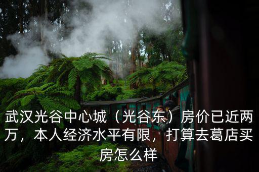 武漢光谷中心城（光谷東）房價已近兩萬，本人經濟水平有限，打算去葛店買房怎么樣