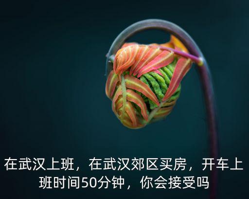 武漢打工開車怎么樣,現在在武漢當公交司機怎么樣