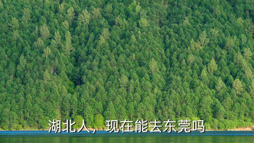 湖北人，現(xiàn)在能去東莞嗎