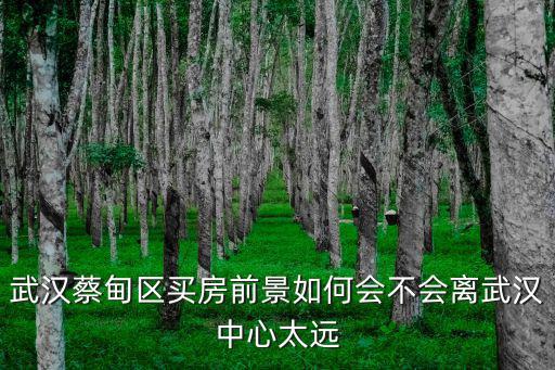 武漢蔡甸區買房前景如何會不會離武漢中心太遠