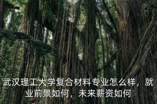 武漢理工大學復合材料專業(yè)怎么樣，就業(yè)前景如何，未來薪資如何