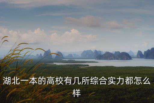 武漢的幾所軍校實力怎么樣,綜合實力都怎么樣