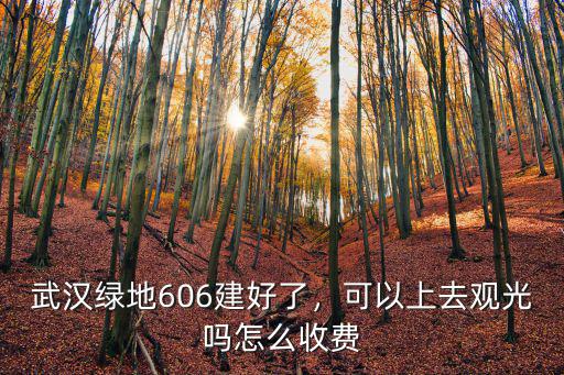 武漢綠地606建好了，可以上去觀光嗎怎么收費