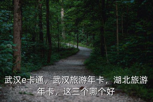 武漢e卡通，武漢旅游年卡，湖北旅游年卡，這三個(gè)哪個(gè)好