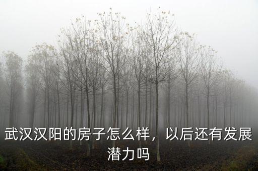 武漢漢陽的房子怎么樣，以后還有發展潛力嗎