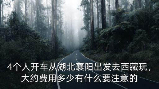 4個人開車從湖北襄陽出發(fā)去西藏玩，大約費用多少有什么要注意的