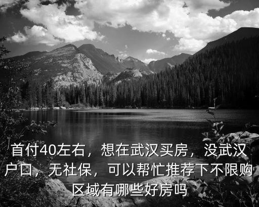 首付40左右，想在武漢買房，沒武漢戶口，無社保，可以幫忙推薦下不限購區域有哪些好房嗎