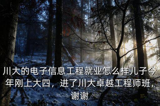 武漢大學(xué)卓越工程師班怎么樣,進(jìn)了川大卓越工程師班