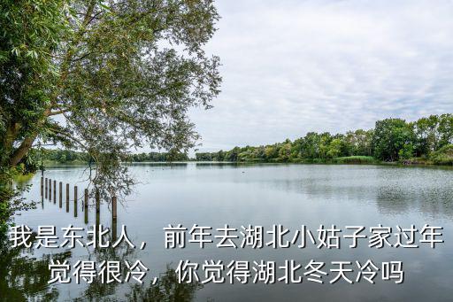 我是東北人，前年去湖北小姑子家過年覺得很冷，你覺得湖北冬天冷嗎
