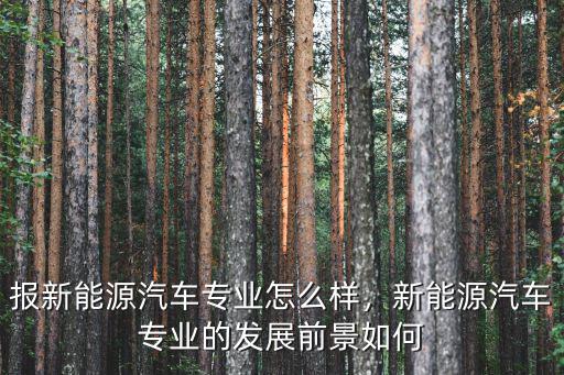 湖北美洋新能源汽車怎么樣,學汽車新能源前景怎么樣