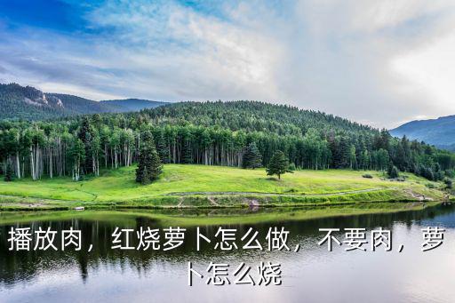 恩施地區(qū)肉蘿卜怎么做的,紅燒蘿卜怎么做