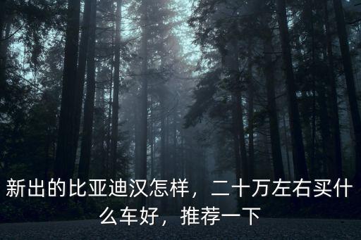 新出的比亞迪漢怎樣，二十萬左右買什么車好，推薦一下