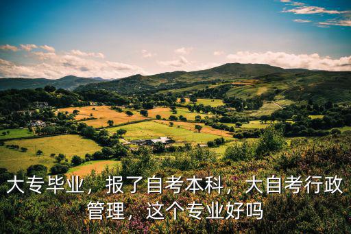 尚德武漢大學行政管理專業怎么樣,但是專業是行政管理