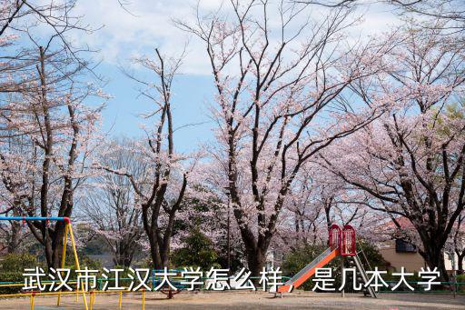 武漢江漢大學治安怎么樣,武漢市江漢大學怎么樣