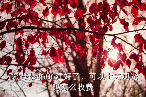 武漢綠地606建好了，可以上去觀光嗎怎么收費