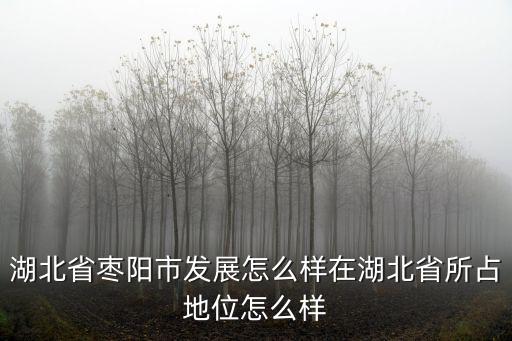 湖北省棗陽市發展怎么樣在湖北省所占地位怎么樣