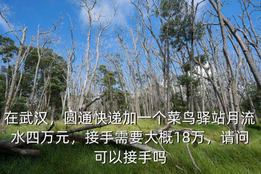 在武漢，圓通快遞加一個菜鳥驛站月流水四萬元，接手需要大概18萬，請問可以接手嗎