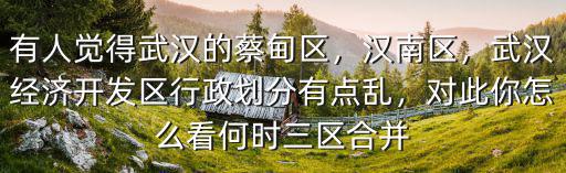有人覺得武漢的蔡甸區，漢南區，武漢經濟開發區行政劃分有點亂，對此你怎么看何時三區合并