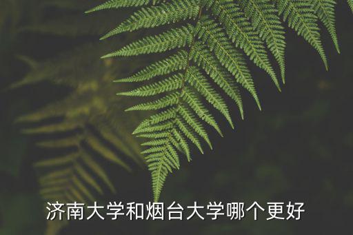 煙臺大學和湖北大學比較怎么樣,煙臺大學和聊城大學哪個好