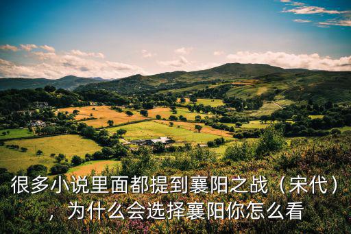 襄陽怎么形容,襄陽牛肉面怎么做