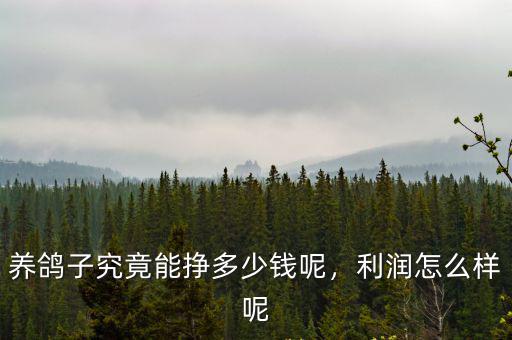 養(yǎng)鴿子究竟能掙多少錢呢，利潤怎么樣呢