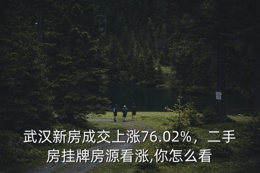 武漢新房成交上漲76.02%，二手房掛牌房源看漲,你怎么看