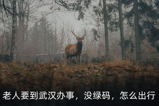 武漢老人小孩沒有綠碼怎么辦,在湖北的老人小孩沒有健康碼
