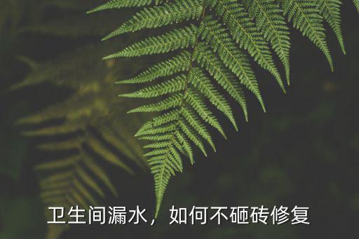 黃石衛(wèi)生間漏水不砸磚怎么處理,衛(wèi)生間漏水不砸瓷磚能補漏嗎