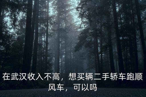 在武漢收入不高，想買輛二手轎車跑順風(fēng)車，可以嗎