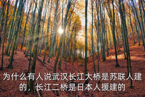 武漢長江大橋車禍是怎么回事,武漢長江大橋是誰設計的