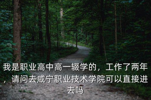 我是職業高中高一輟學的，工作了兩年，請問去咸寧職業技術學院可以直接進去嗎