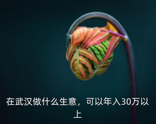 在武漢做什么生意，可以年入30萬以上