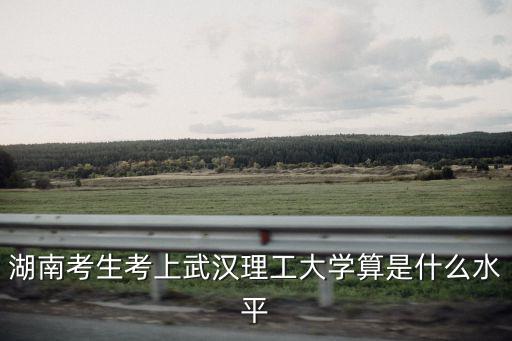湖南考生考上武漢理工大學(xué)算是什么水平