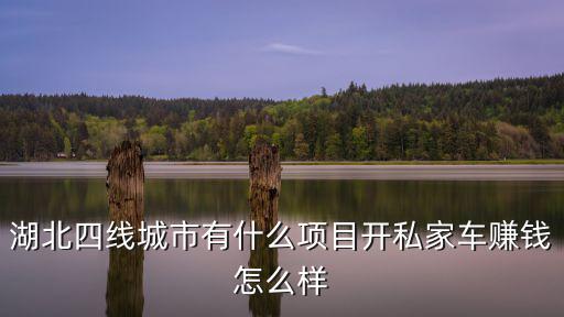 湖北四線(xiàn)城市有什么項(xiàng)目開(kāi)私家車(chē)賺錢(qián)怎么樣