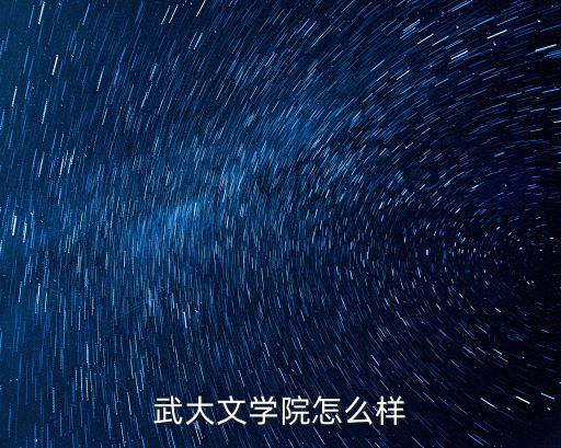 武大文學院怎么樣
