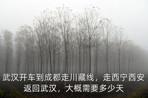 武漢到西寧自駕怎么走,走西寧西安返回武漢