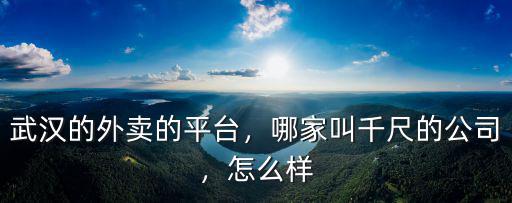 武漢的外賣的平臺，哪家叫千尺的公司，怎么樣