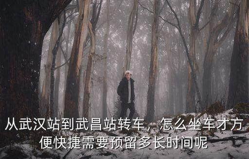 從武漢站到武昌站轉(zhuǎn)車，怎么坐車才方便快捷需要預(yù)留多長時間呢