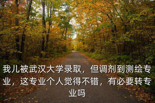 我兒被武漢大學錄取，但調劑到測繪專業，這專業個人覺得不錯，有必要轉專業嗎