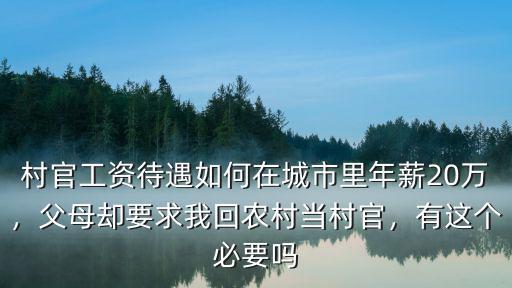 村官工資待遇如何在城市里年薪20萬，父母卻要求我回農(nóng)村當(dāng)村官，有這個必要嗎