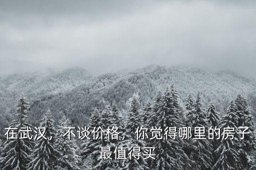 在武漢，不談價格，你覺得哪里的房子最值得買