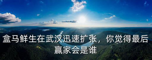 現(xiàn)在武漢盒馬鮮生怎么樣,盒馬鮮生現(xiàn)在怎么樣了